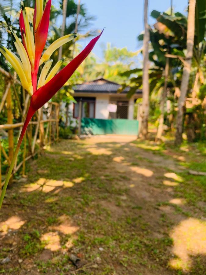 White Heaven Villa Unawatuna Exterior photo